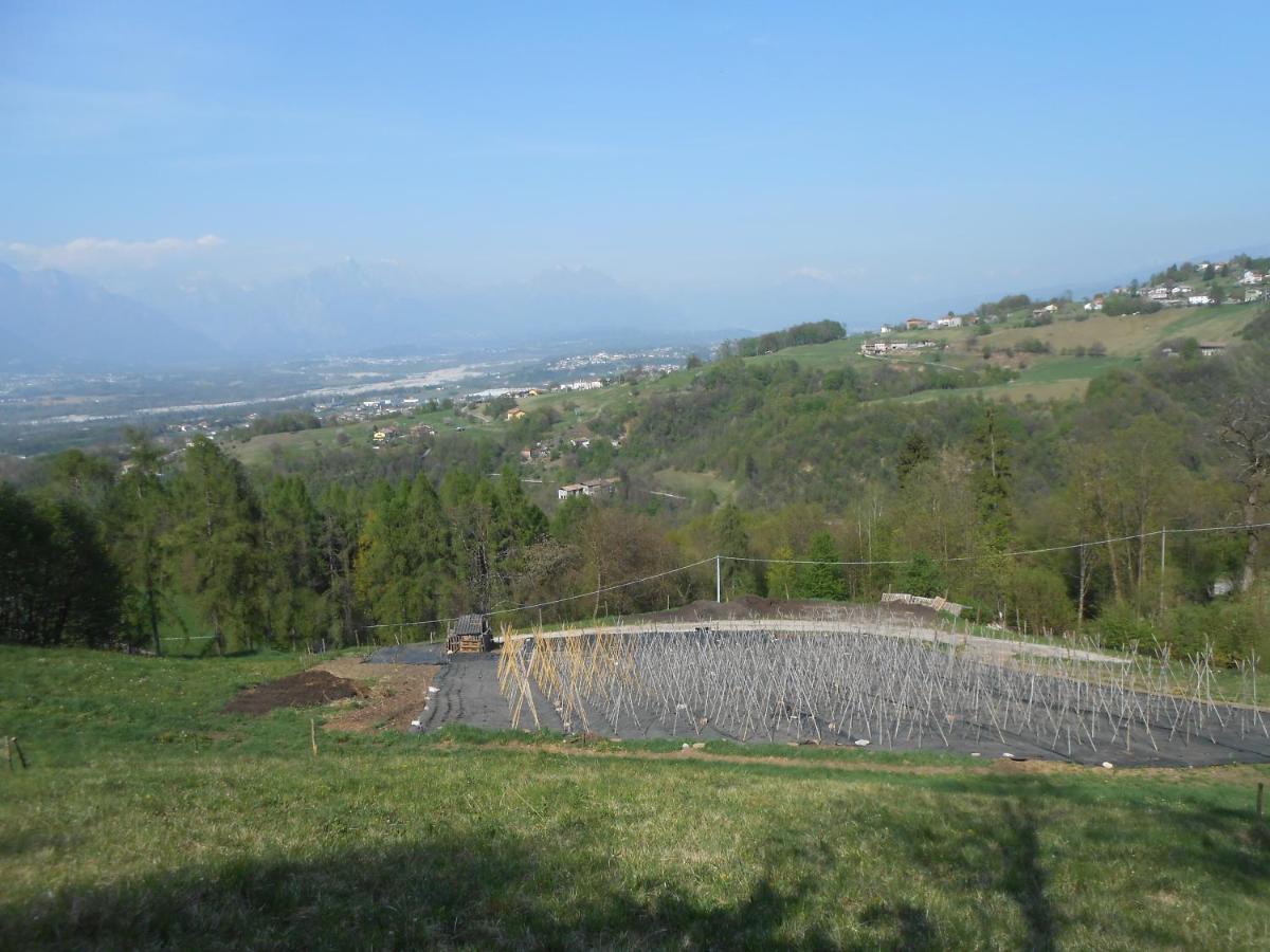 Agriturismo La Casa Nei Boschi Colderu Экстерьер фото